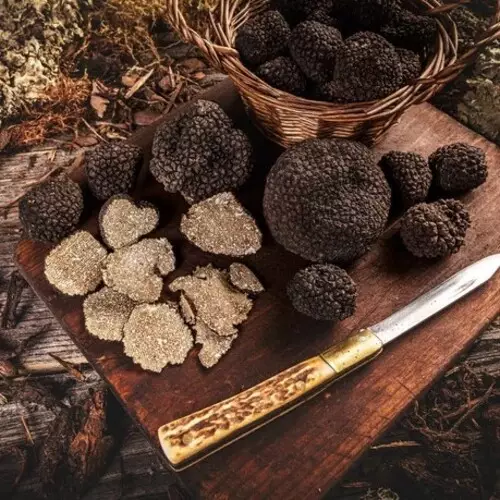 СУХИЙ МІЦЕЛІЙ ТРЮФЕЛЯ